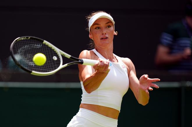 阵容的根基 阵容的根基