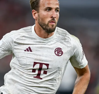 帮助你在新 帮助你在新